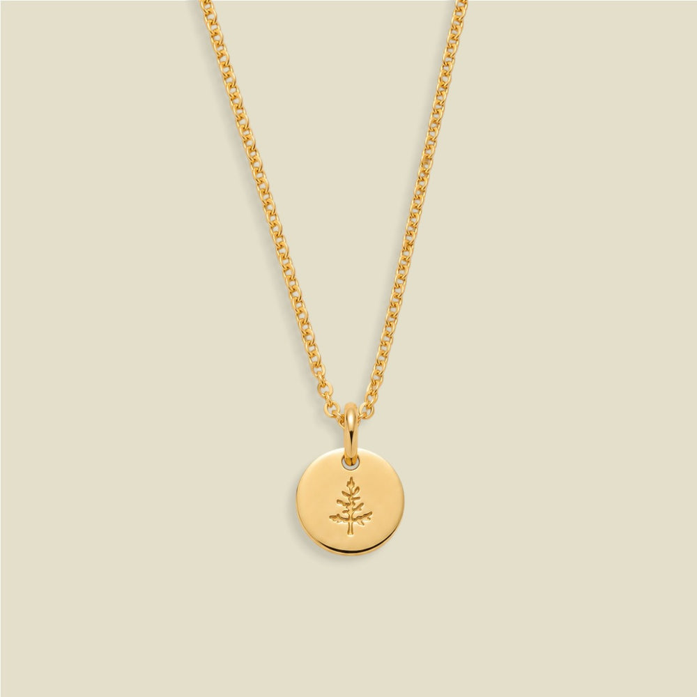 A gold chain necklace with a round gold disc pendant engraved with a small pine tree, displayed against a solid light beige background.