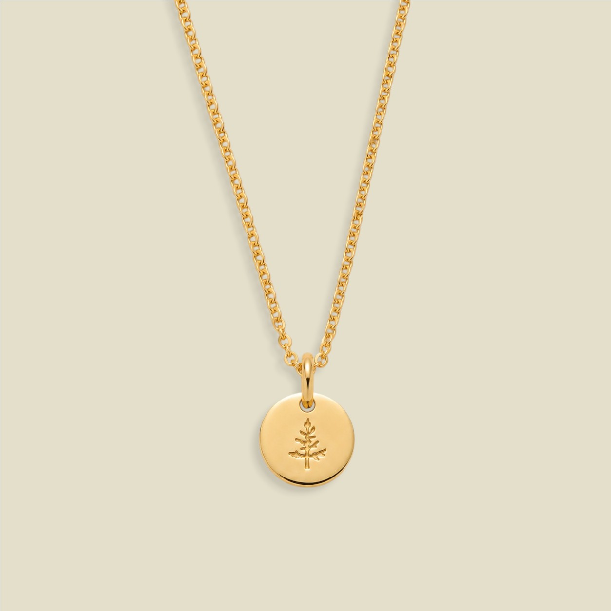 A gold chain necklace with a round gold disc pendant engraved with a small pine tree, displayed against a solid light beige background.