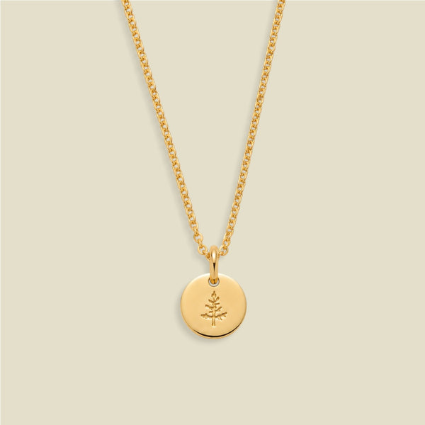 A gold chain necklace with a round gold disc pendant engraved with a small pine tree, displayed against a solid light beige background.