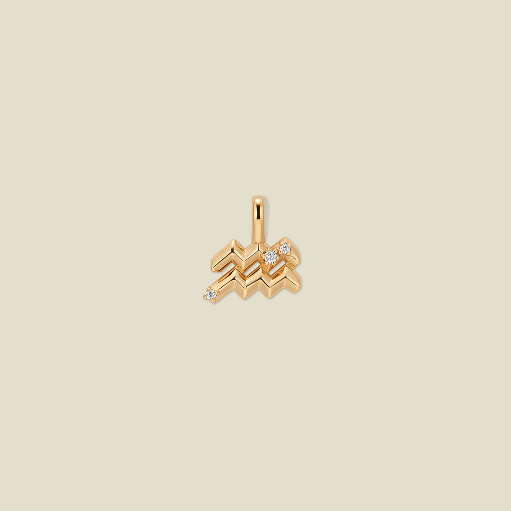 Aquarius Zodiac Charm | Final Sale