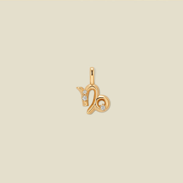 Capricorn Zodiac Charm | Final Sale