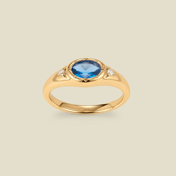 December Oval Birthstone Signet Ring