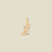 A polished gold initial pendant charm shaped like the letter 'Z' in a cursive script, centered on a solid light beige background.