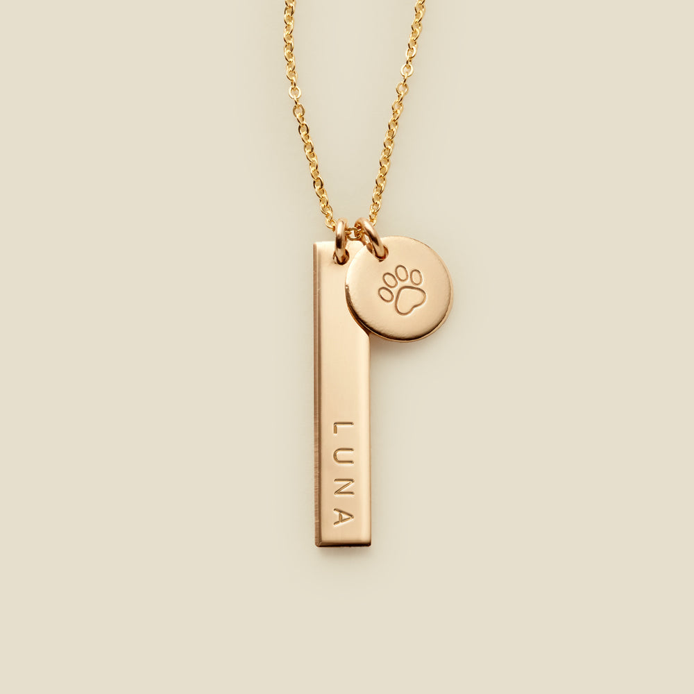 Gold necklace with a bar engraved with name "LUNA" and a disc with a paw print on a beige background