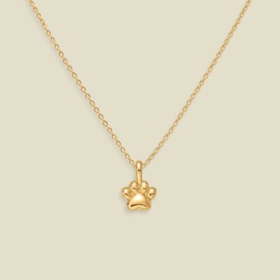 A gold chain necklace featuring a small paw print pendant, displayed against a solid light beige background.