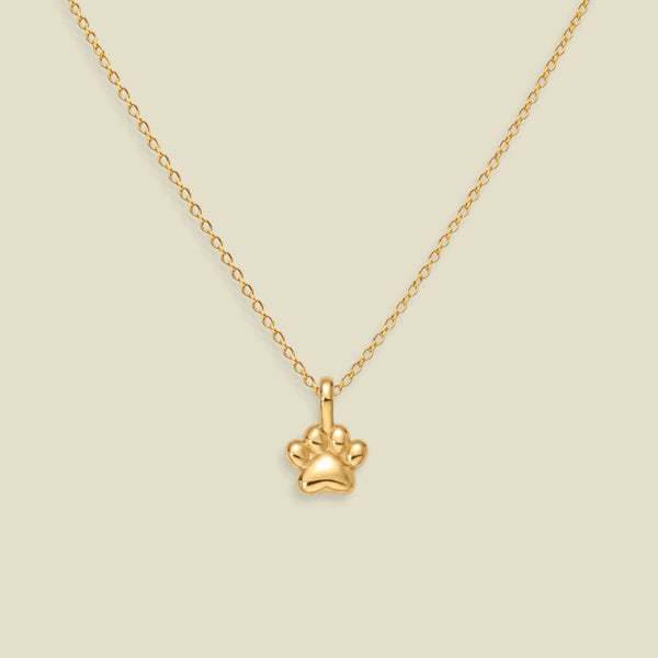 A gold chain necklace featuring a small paw print pendant, displayed against a solid light beige background.