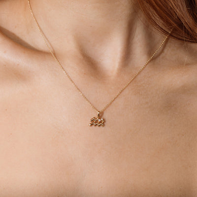 Aquarius Zodiac Charm | Final Sale