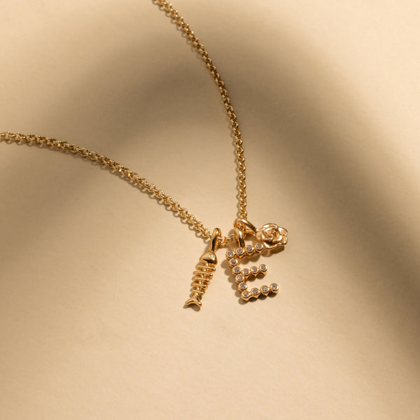 Fishbone Charm Add Ons