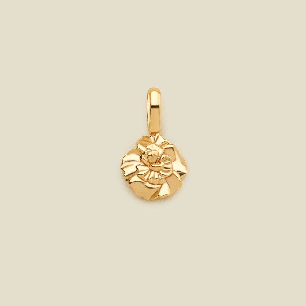 January Birth Flower Charm Gold Vermeil Add Ons