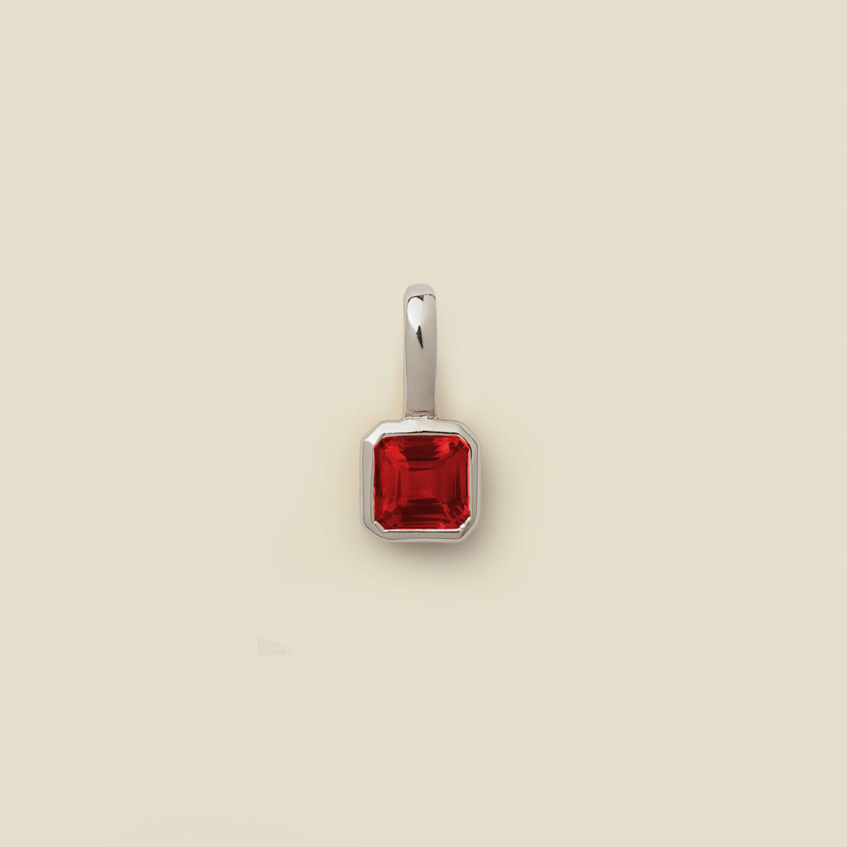 January Birthstone Charm Final Sale
