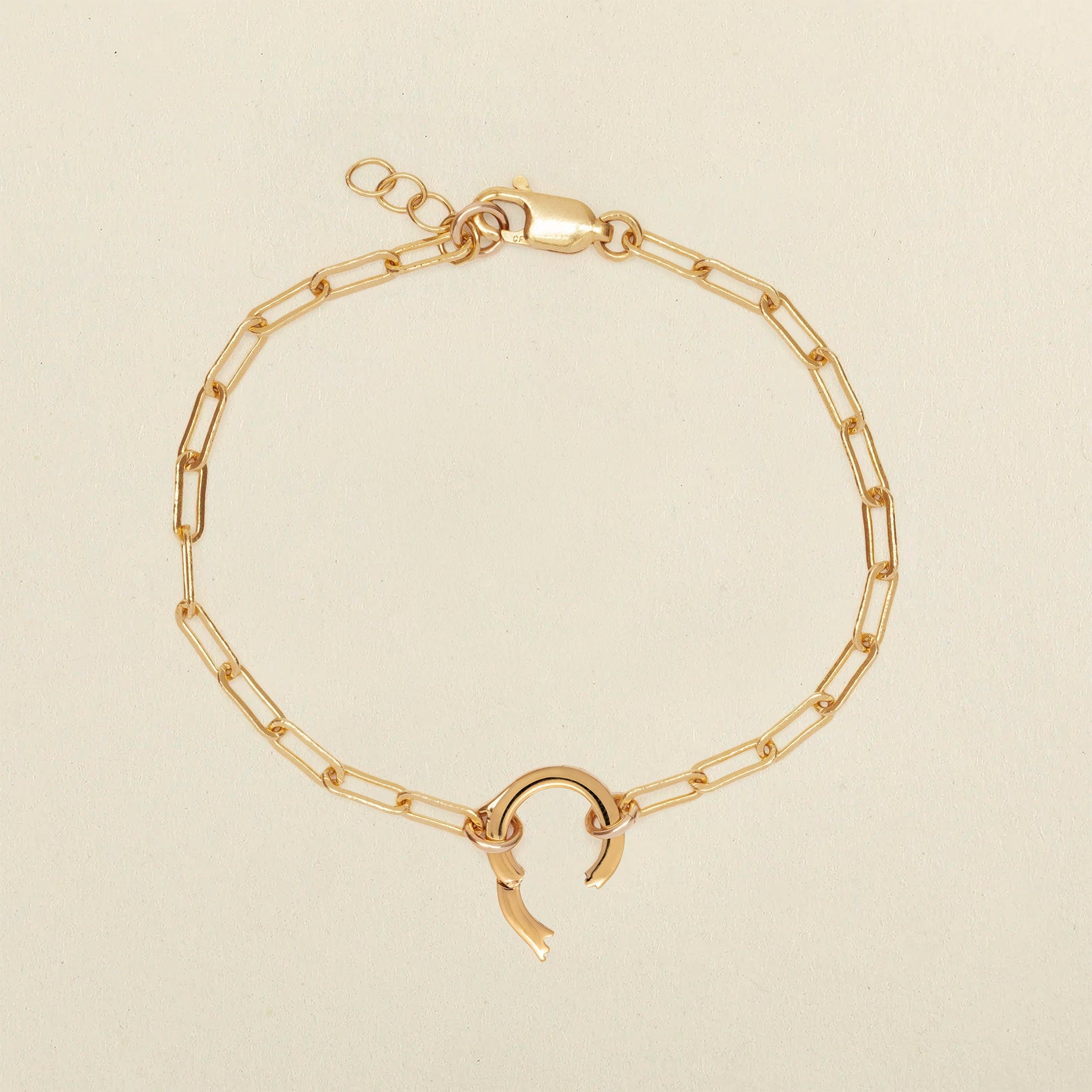 Poppy 14k Gold Charm Bracelet, Paperclip Charm Bracelet