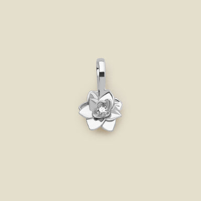 July Birth Flower Charm Silver Add Ons