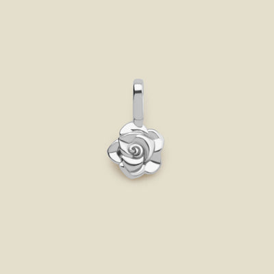 June Birth Flower Charm Silver Add Ons