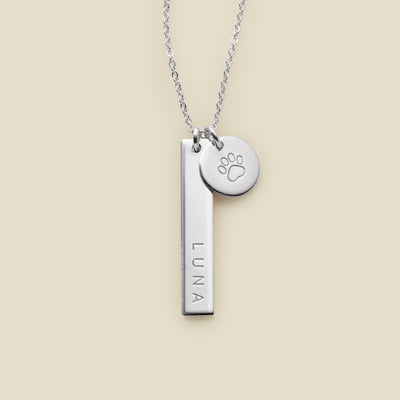 Silver necklace with a bar and paw print charm on a beige background