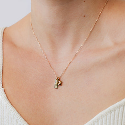 Paw Print Charm Add Ons