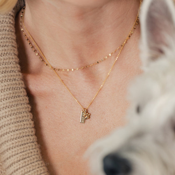Paw Print Charm Add Ons