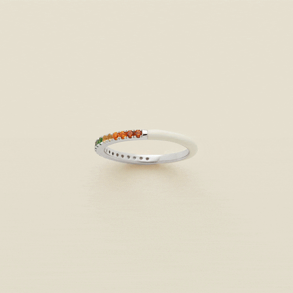 Pride Ring Silver / 5 Ring