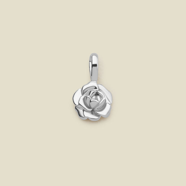 September Birth Flower Charm Silver Add Ons